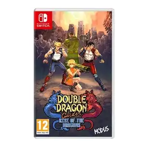 Double Dragon Gaiden: Rise of the Dragons (Nintendo Switch)