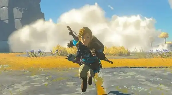 The Legend of Zelda: Tears of the Kingdom - Nintendo Switch [video game]  [video game] [video game]
